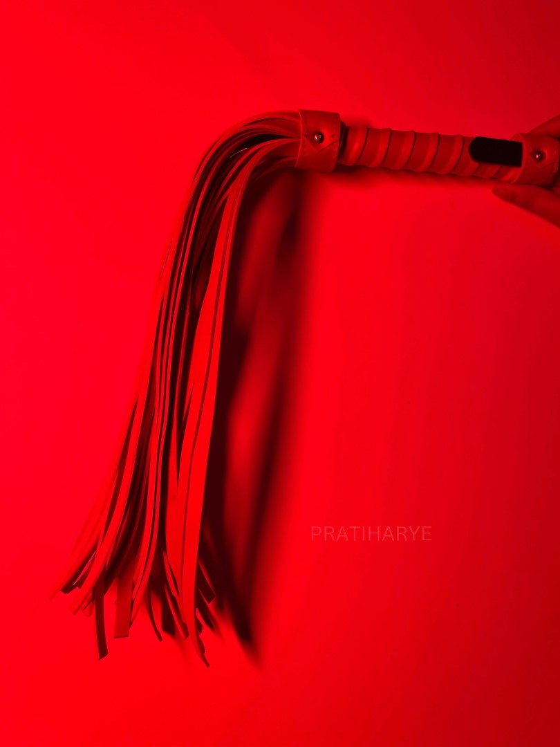 Premium High Quality Hunter/Whip Flogger