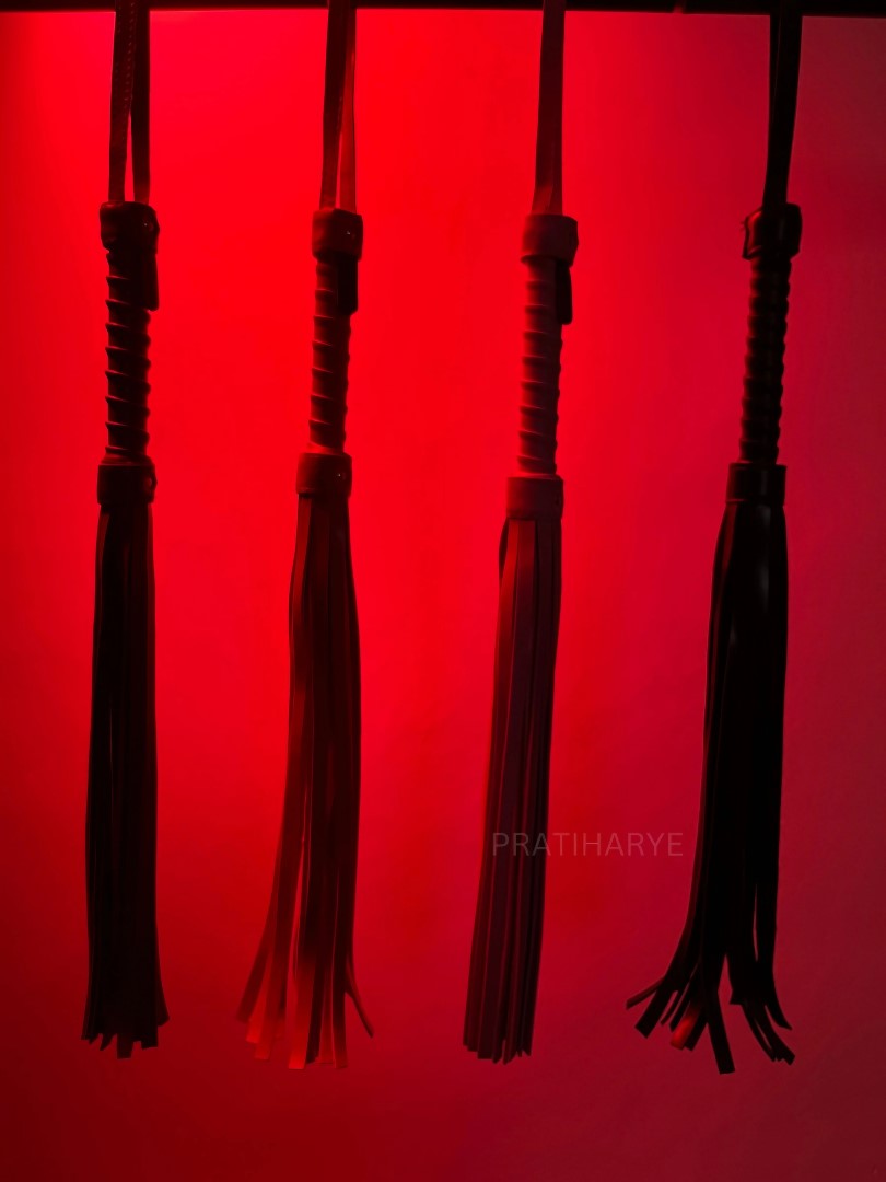 Premium High Quality Hunter/Whip Flogger