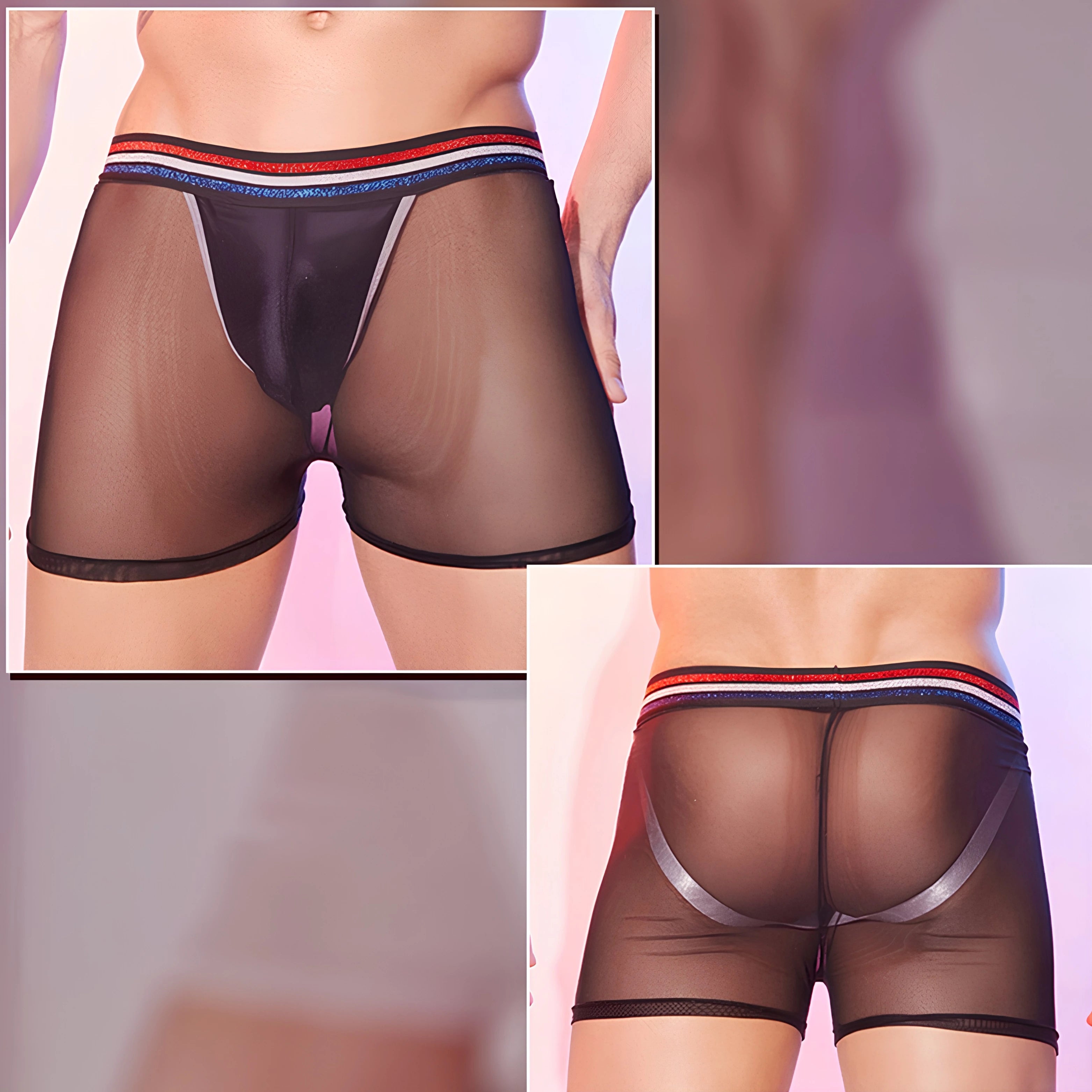 Men’s Sheer Mesh Tights
