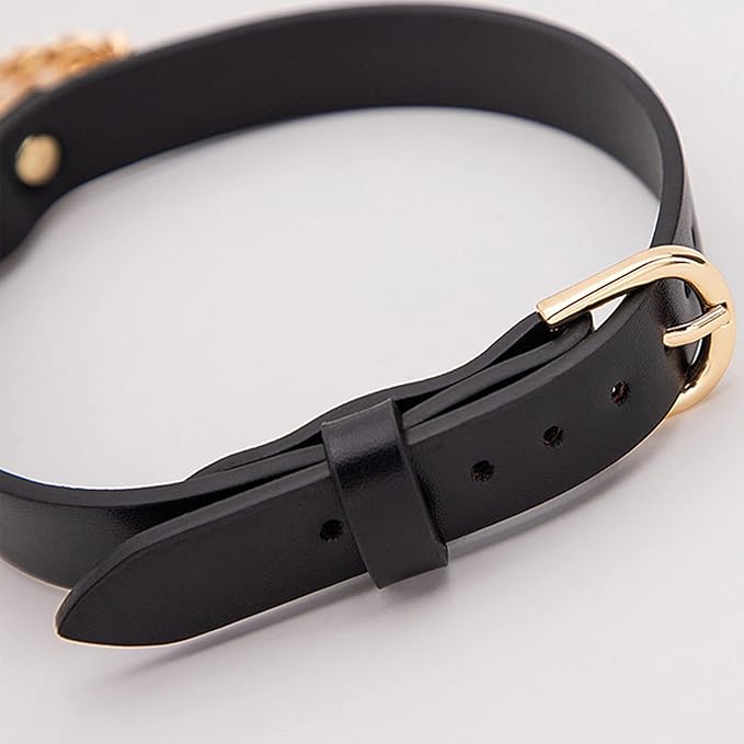 Leather Neck Collar Leash with Chain