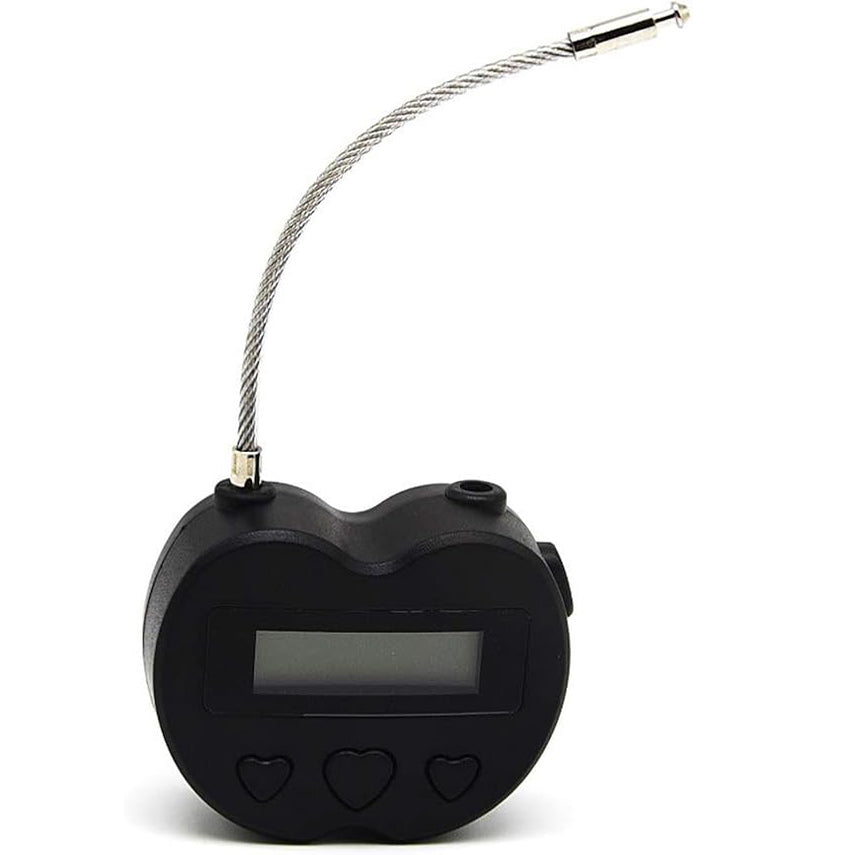 Multipurpose Electronic Security Timer Lock