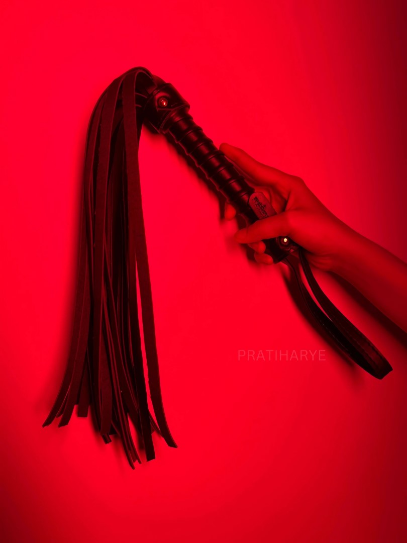 Premium High Quality Hunter/Whip Flogger