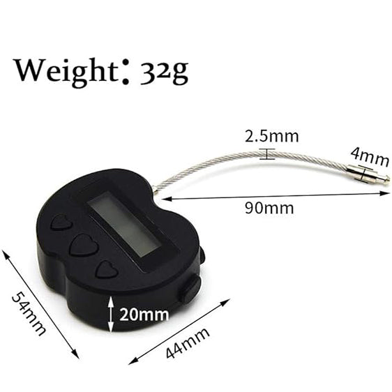 Multipurpose Electronic Security Timer Lock