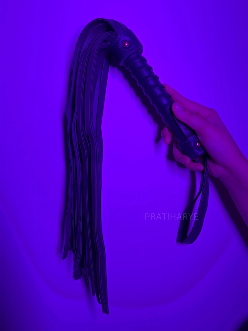 Premium High Quality Hunter/Whip Flogger