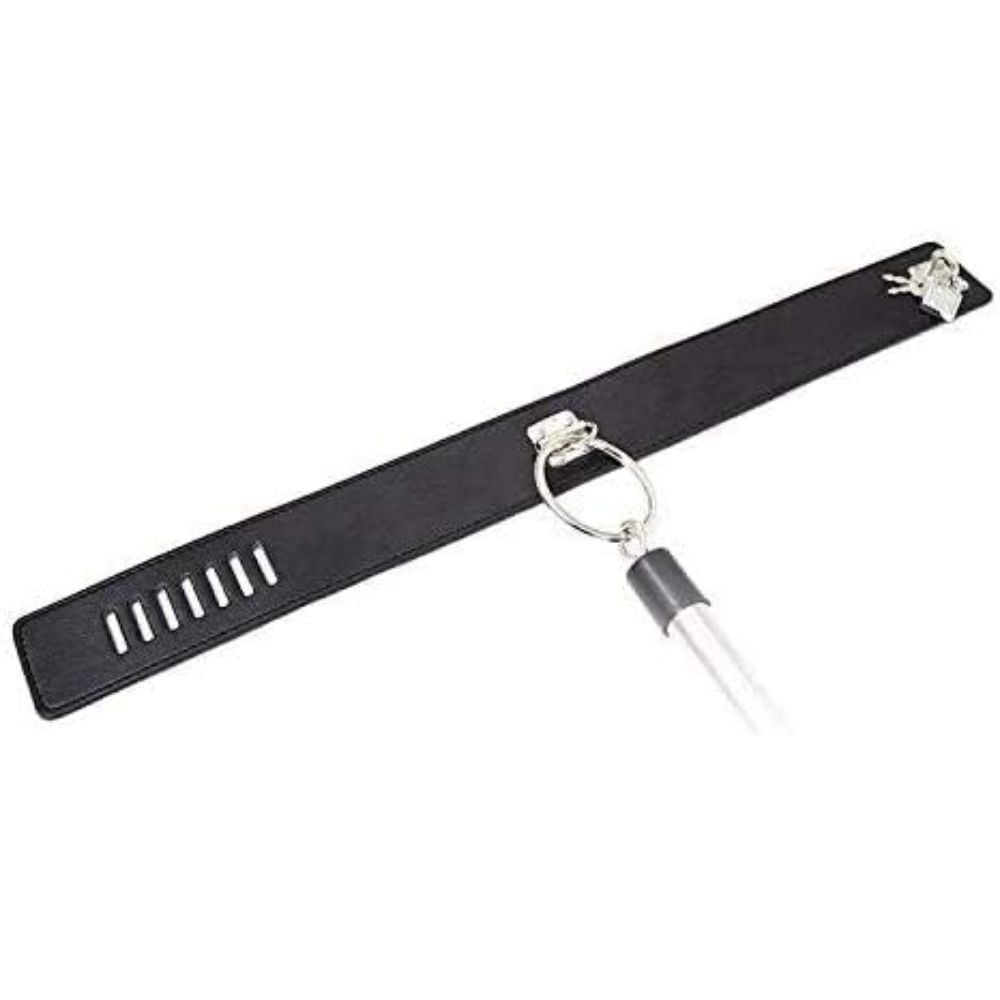 Heavy Stainless Steel Spreader Bar with Collar and Wrist Cuffs