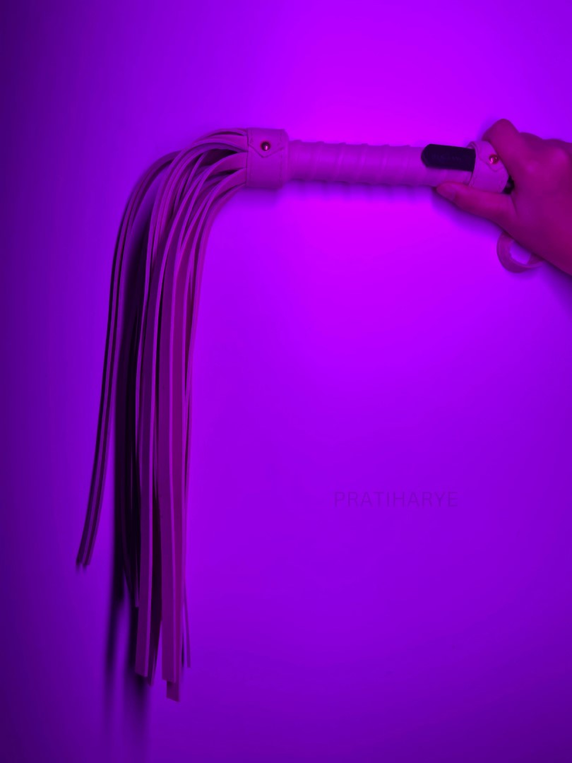 Premium High Quality Hunter/Whip Flogger