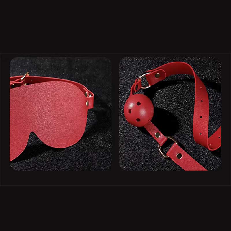 Premium 12pc BDSM KIT