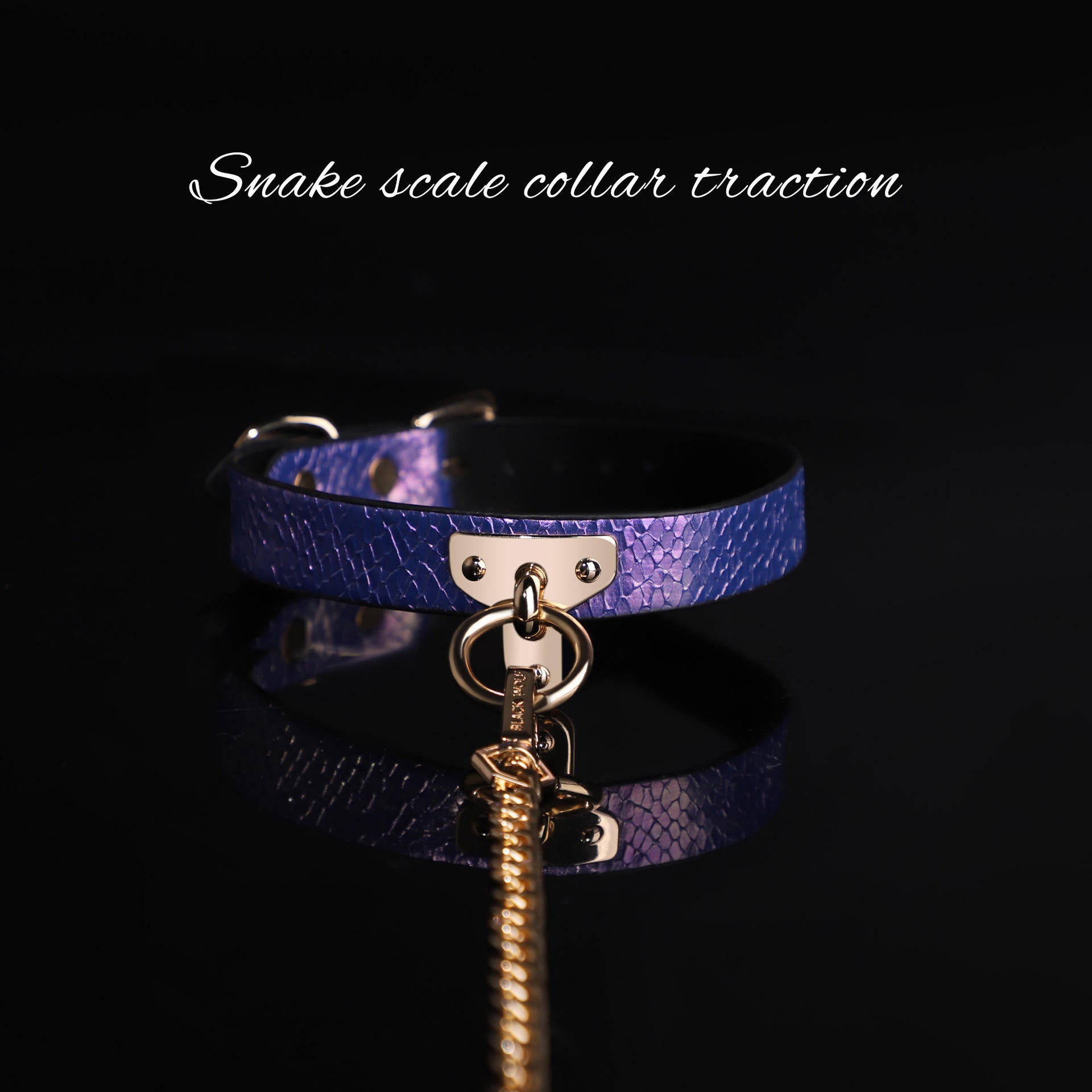 Blue Neck Collar Chain Leash