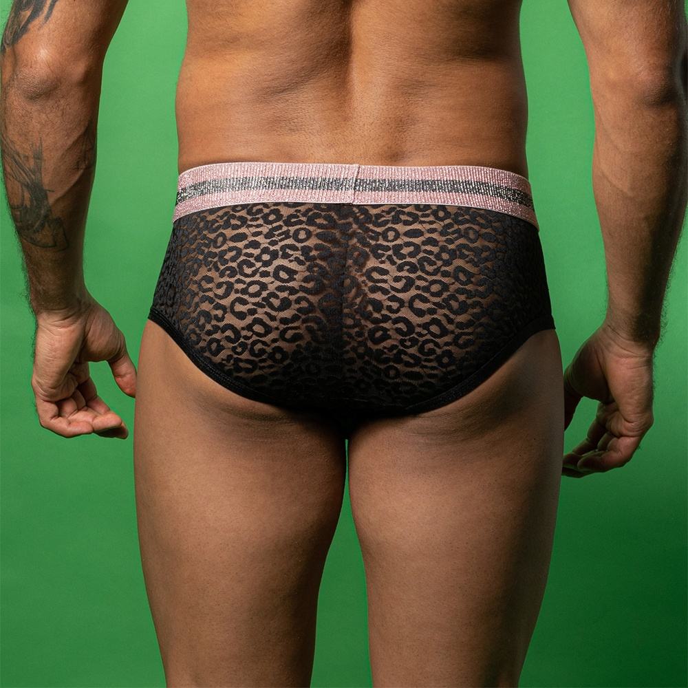 Sexy Leopard Mesh Brief
