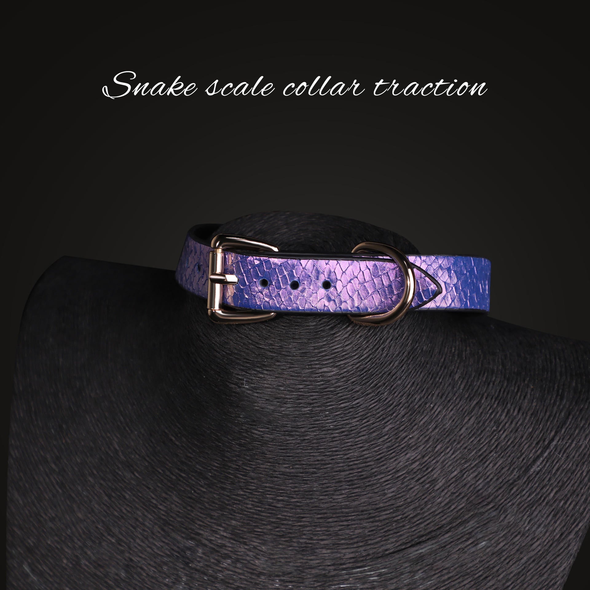 Blue Neck Collar Chain Leash