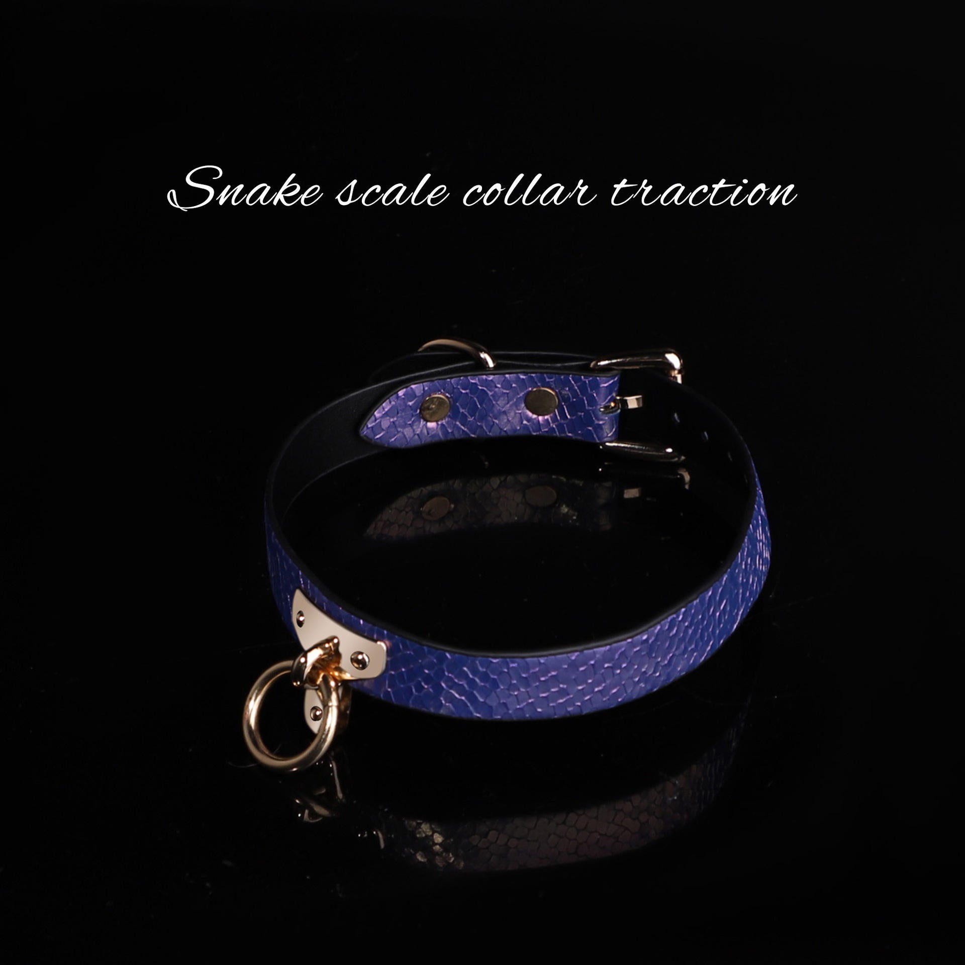 Blue Neck Collar Chain Leash