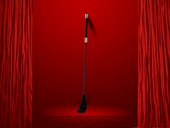 Whip / Sticks - PRATIHARYE
