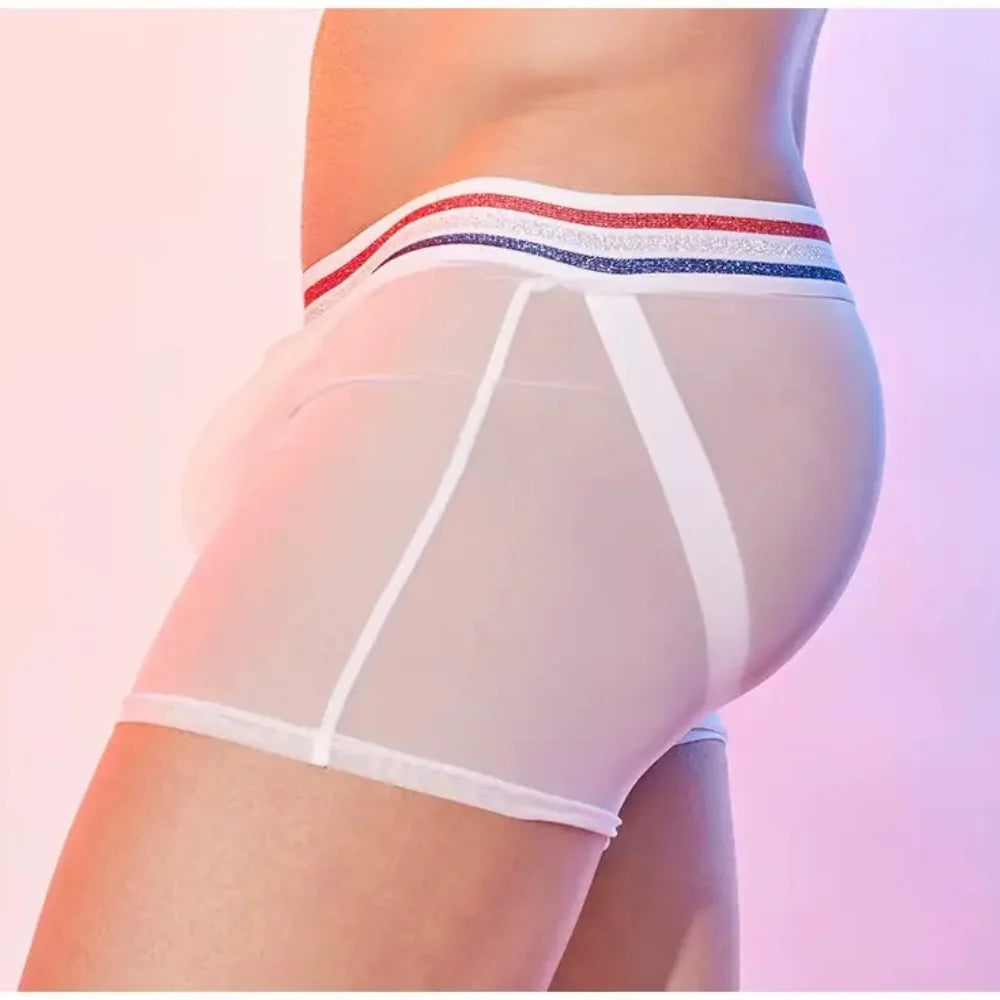 Men’s Sheer Sexy Mesh Tights