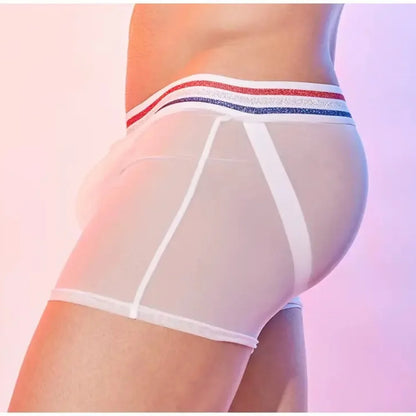 Men’s Sheer Sexy Mesh Tights