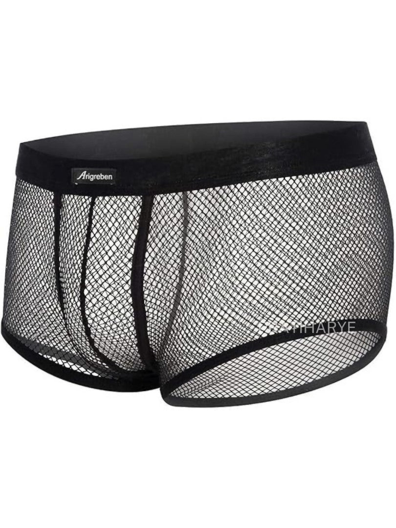 Men Mesh Sexy Underwear Net