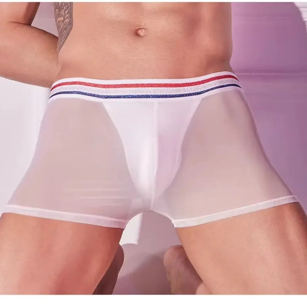 Men’s Sheer Sexy Mesh Tights