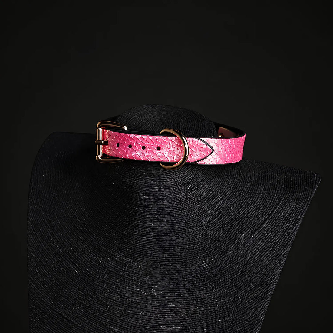 Pink Snake Collar with Chain Leash
