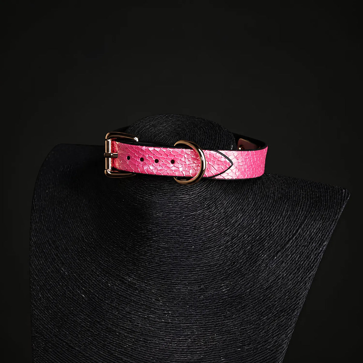 Pink Snake Collar with Chain Leash