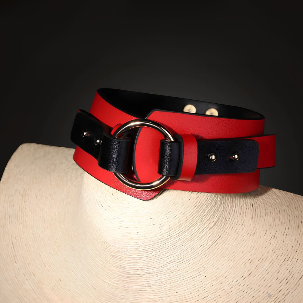Crimson Command Collar Leash