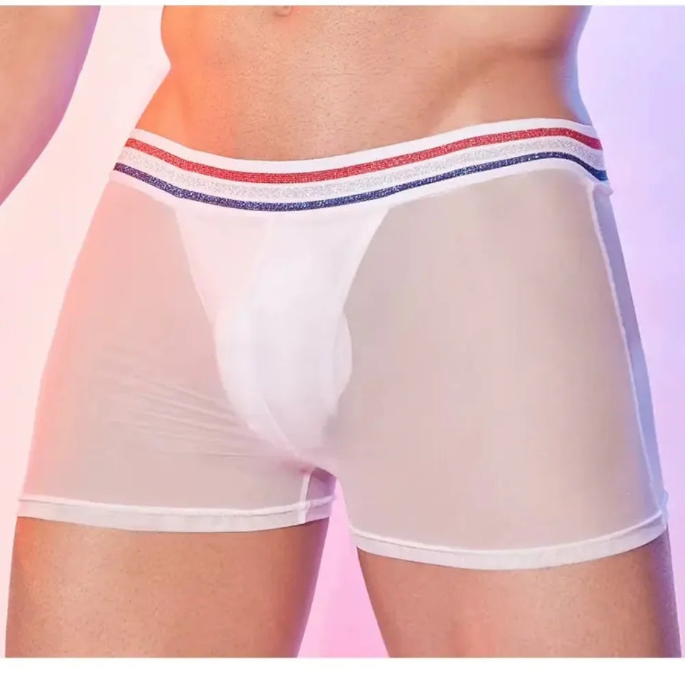 Men’s Sheer Sexy Mesh Tights