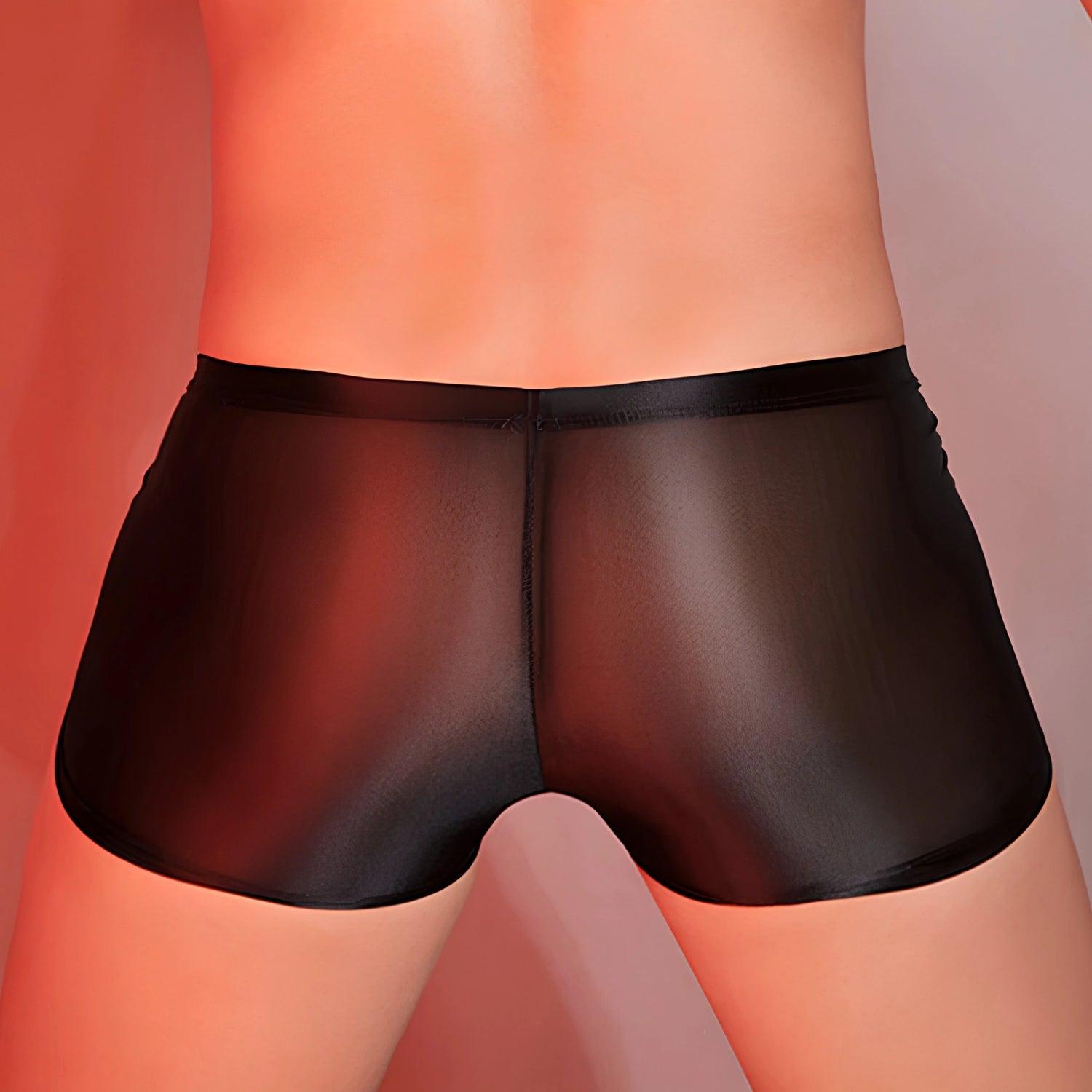 Men’s Black Glossy Lycra Brief