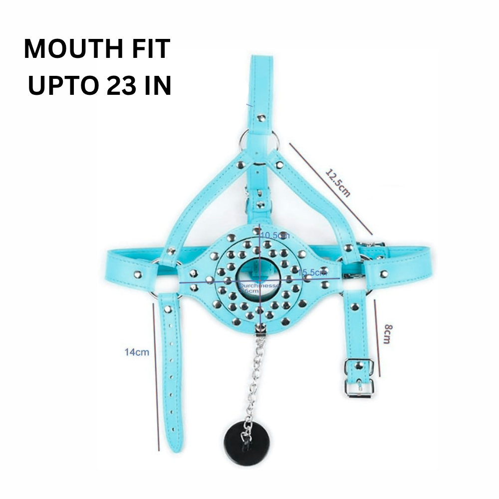 Funnel Studded Mouth Gag Head Bondage Set
