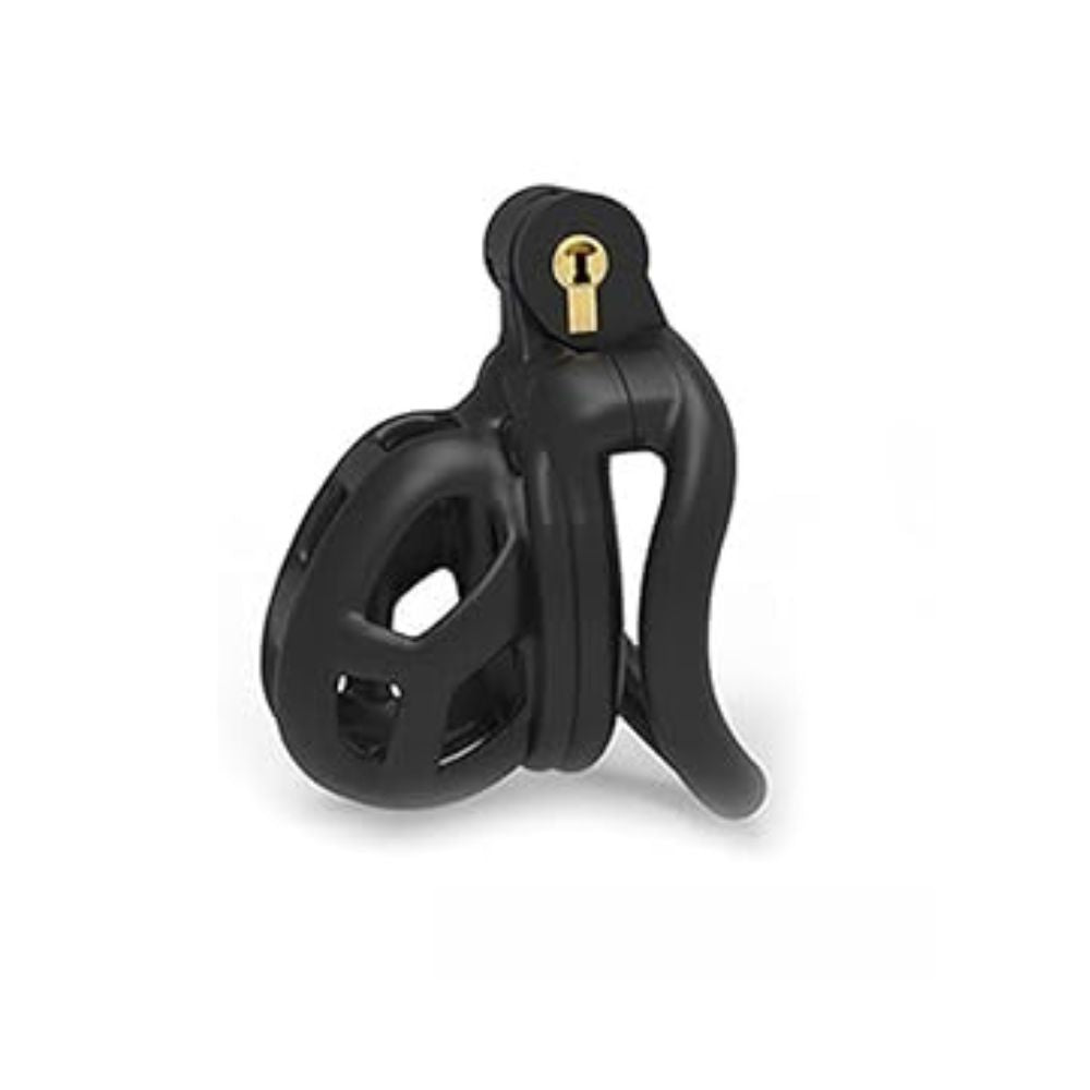 Men Control Penis Lock