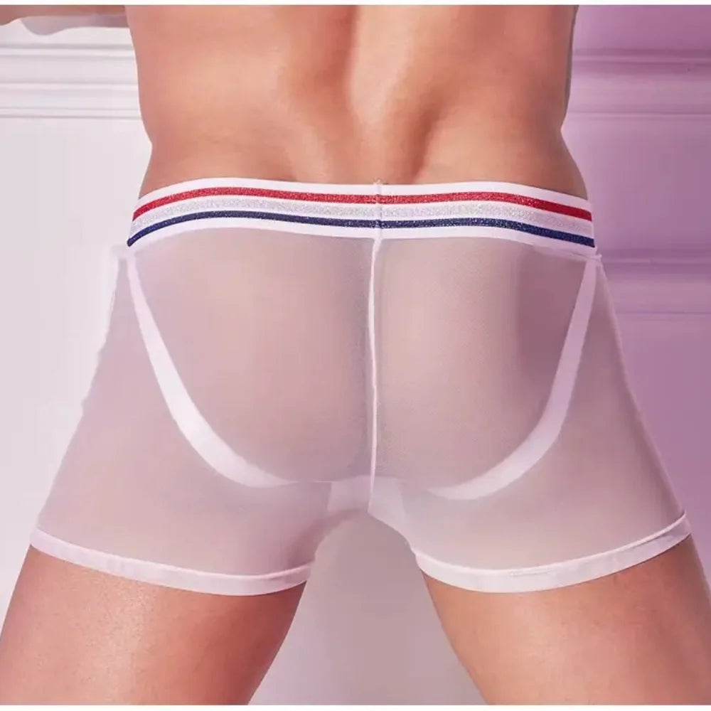 Men’s Sheer Sexy Mesh Tights
