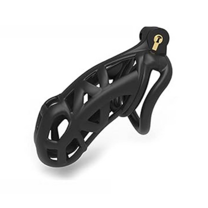 Men Control Penis Lock