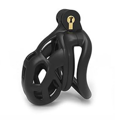 Men Control Penis Lock