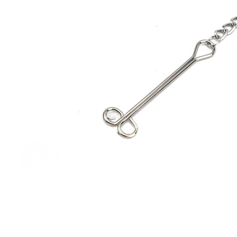 Chain Nipple Clamps with Clit Clamp