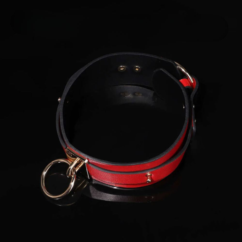 Crimson Command Collar Leash