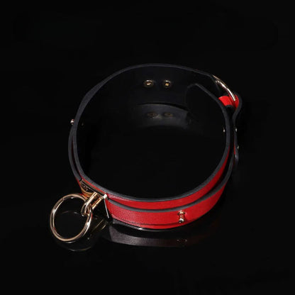 Crimson Command Collar Leash