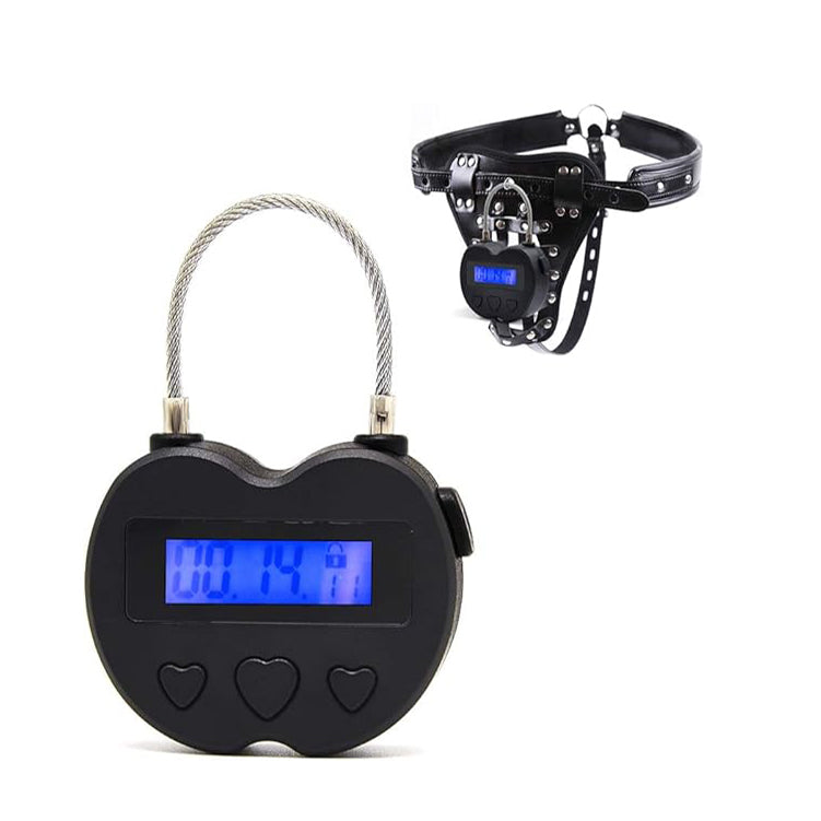 Multipurpose Electronic Security Timer Lock
