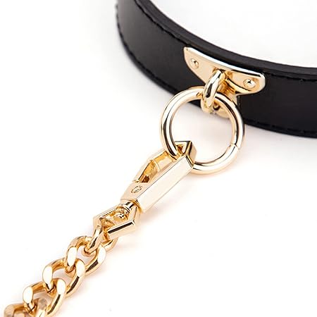Leather Neck Collar Leash with Chain