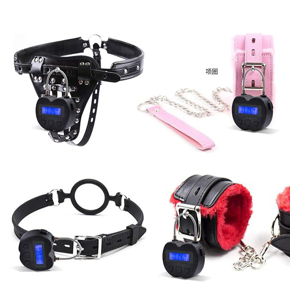 Multipurpose Electronic Security Timer Lock