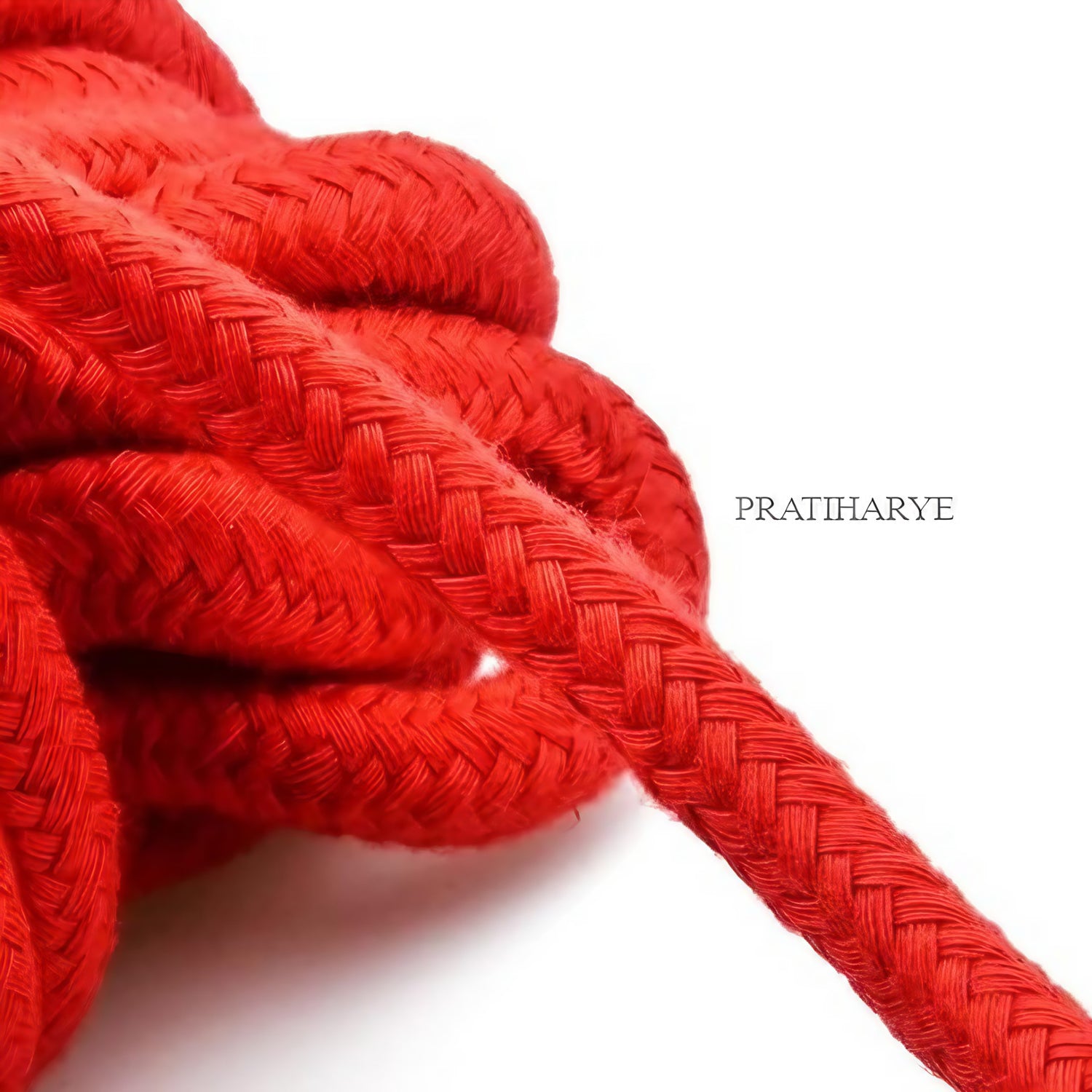 Heavy Twine Cord Hardcore Tie Rope