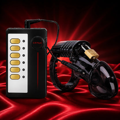 Remote Controlled Electronic Chastity Cage