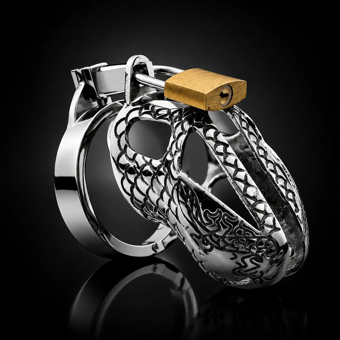 Snake Stainless Steel Men Chastity Cage
