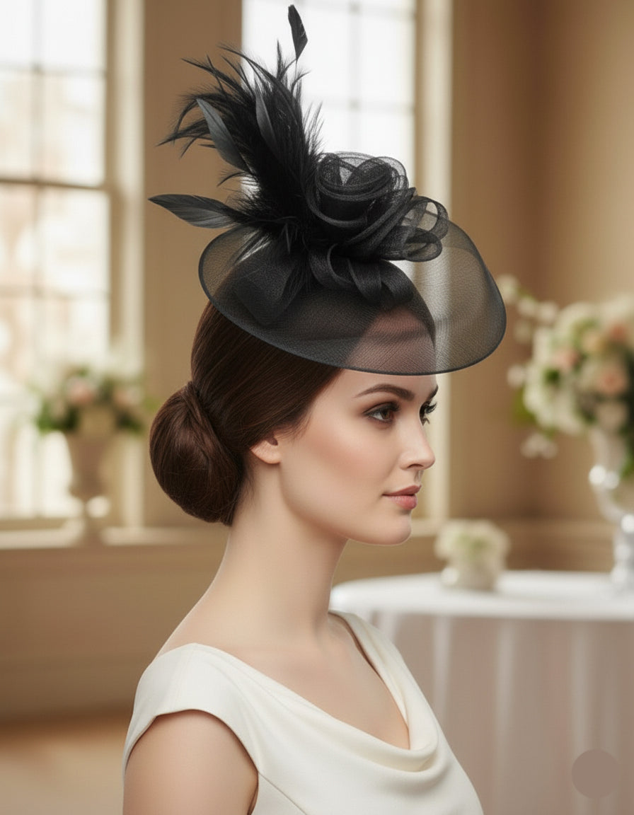 Royal Noir Feather Mesh Fascinator Hat