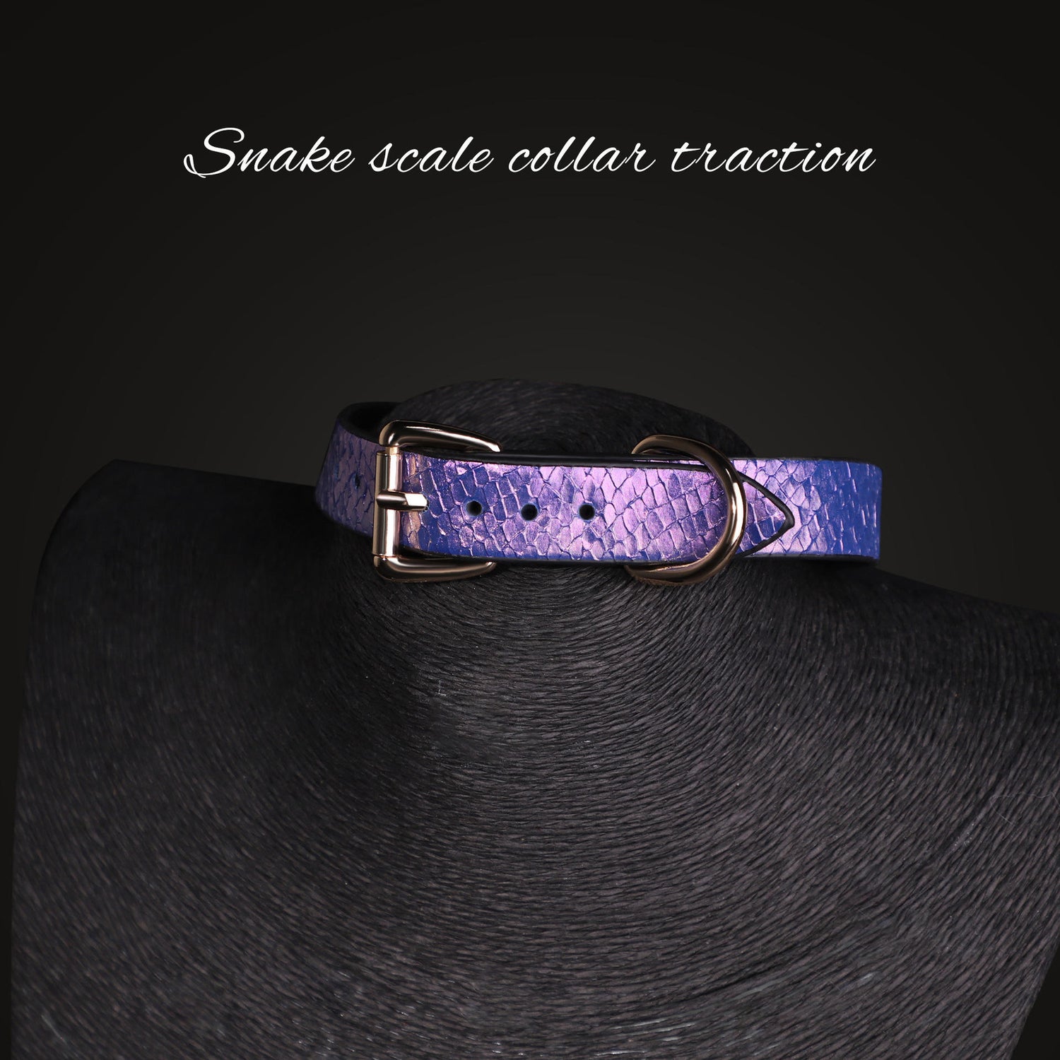 Blue Neck Collar Chain Leash