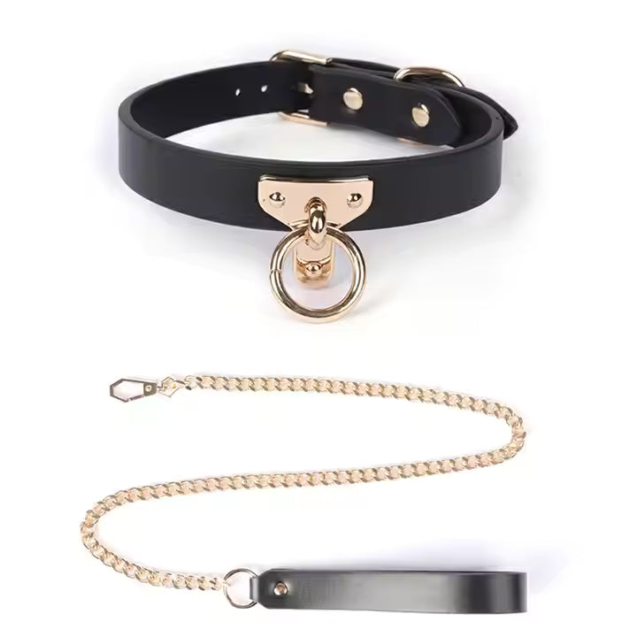 Luxurious Leather BDSM Kit with Lockable Storage Box