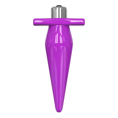 Exotic Purple Hot Butt Plug Vibrator