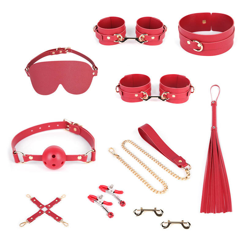 Premium 12pc BDSM KIT