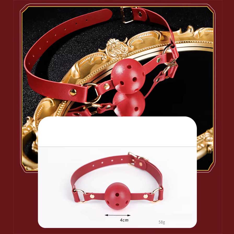 Premium 12pc BDSM KIT