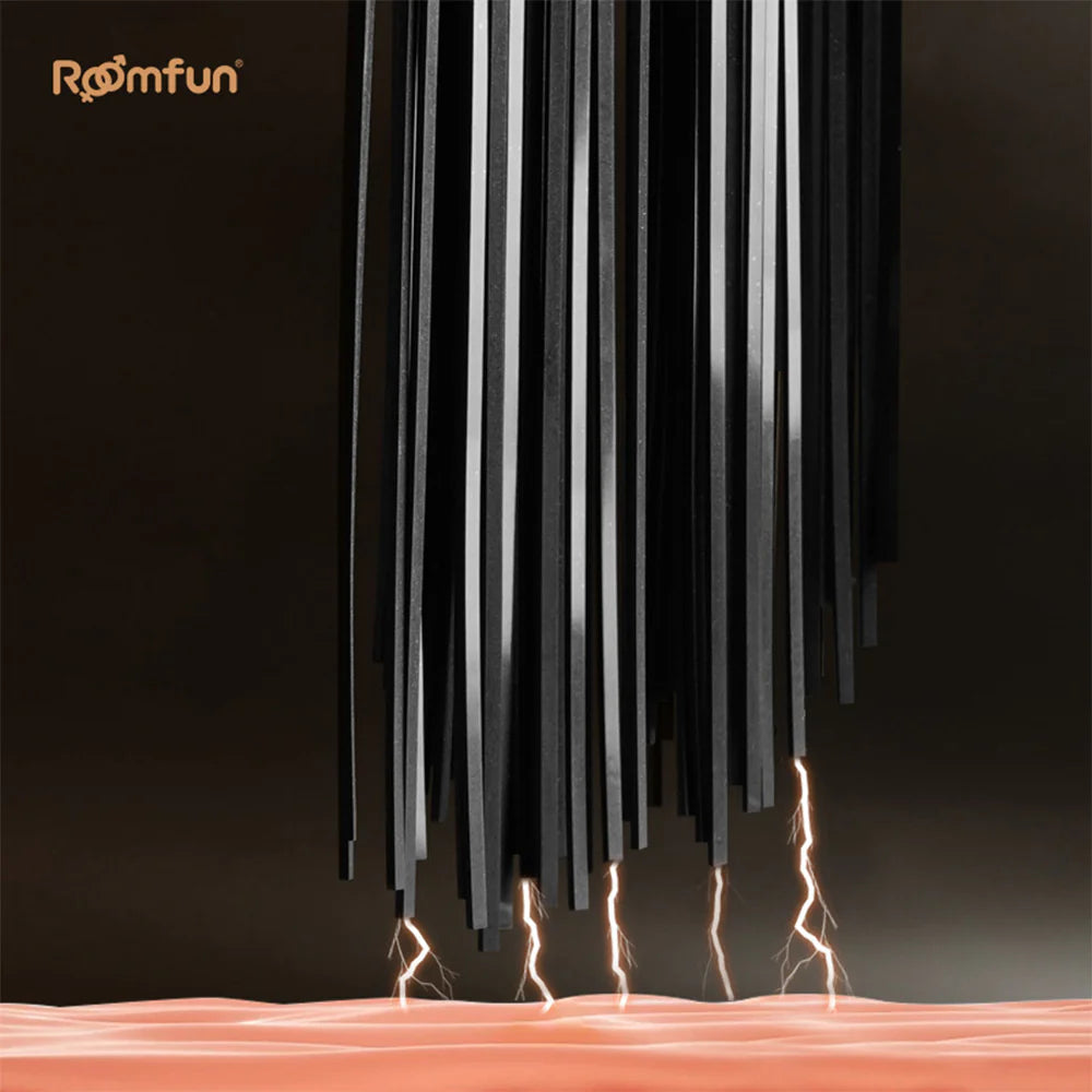 Premium Punishment Electroshock Training Whip