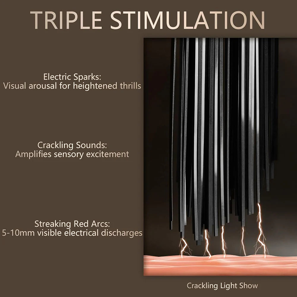 Premium Punishment Electroshock Training Whip