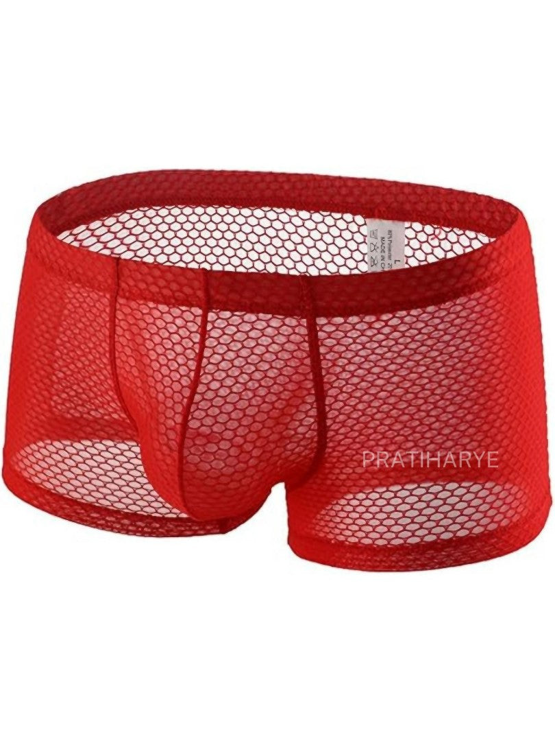 Men Mesh Sexy Underwear Net