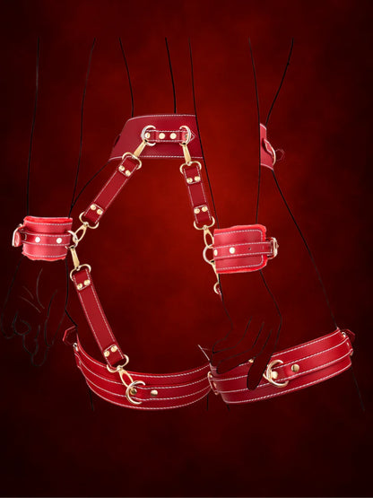 Premium 6pc Pu Leather Body Restraint