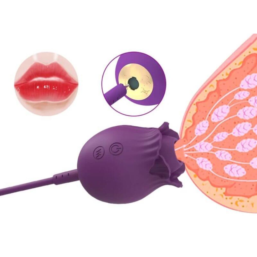 4 in 1 Vibrating Pleasure Adult Toy